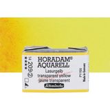 Schmincke Horadam Aquarell Tam Tablet Sulu Boya Translucent Yellow 209 S.2 - Renkli - Standart
