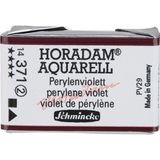 Schmincke Horadam Artist Sulu Boya Tam Tablet 371 Perylene Violet