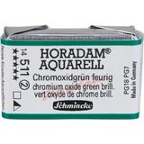 Schmincke Horadam Artist Sulu Boya Tam Tablet 511 Chr. Oxide Green Brilliant