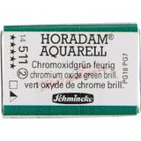 Schmincke Horadam Artist Sulu Boya Tam Tablet 511 Chr. Oxide