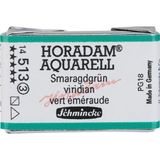 Schmincke Horadam Artist Sulu Boya Tam Tablet 513 Viridian