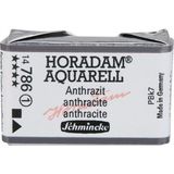 Schmincke Horadam Artist Sulu Boya Tam Tablet 786 Charcoal Grey (Anthracite)