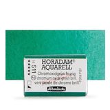 Schmincke Horadam Tam Tablet Sulu Boya Chromium Oxide Green Brilliant
