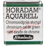 Schmincke : Horadam : Yarım Tablet Sulu Boya : Chromium Oxide Green - Renkli