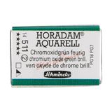 Schmincke Seri 2 511 Chromium Oxide Green Brilliant Horadam Aquarell Artist Tam Tablet Sulu Boya