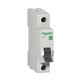 Schneider 1P 6A C 3KA Electric Easy9 Otomatik Sigorta