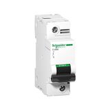 Schneider A9N18341 C120N 1P 80 B Tipi Otomatik Sigorta