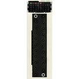 Schneider BMXDDO1602H M340 Zorlu Ortamlar için 24 Watt DC 16 Çıkışlı Solid State Dijital Çıkış Modülü