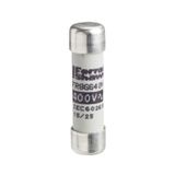 Schneider DF2BN0600 Tesys 8.5x31.5mm 6 A Kartuşu Sigorta