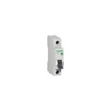Schneider Electric 12 Adet 32 Amper Otomatik Sigorta C Tipi Schneider Easy