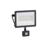 Schneider Electric 30W IR Sensörlü LED Projektör Beyaz Işık IP44