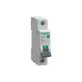 Schneider Electric EZ9F27125 Easy9 Pro 1p 25A B Tipi 6ka Otomatik Sigorta