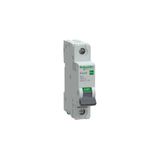 Schneider Electric EZ9F27140 Easy 9 Pro 1p 40A 6ka B Tipi Otomatik Sigorta