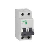 Schneider Electric EZ9F34206 Easy9 2p 6A C Tipi 4.5ka Otomatik Sigorta
