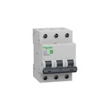 Schneider Electric EZ9F56350 Easy9 3p 50A C Tipi 6ka Otomatik Sigorta