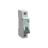 Schneider Electric EZ9F57125 Easy9 Pro 1p 25A C Tipi 6ka Otomatik Sigorta