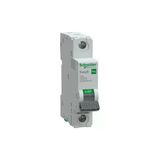 Schneider Electric EZ9F59125 1X25A 10KA C Otomatik Sigorta Easy9 Pro