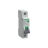 Schneider Electric EZ9F59132 Easy 9 Pro 1p 32A 10KA C Tipi Otomatik Sigorta