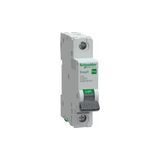 Schneider Electric EZ9F59140 Easy 9 Pro 1p 40A 10KA C Tipi Otomatik Sigorta