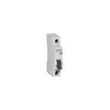 Schneider Electric Schneider C Tipi 1x2a Otomatik Sigorta - Ez9f43102