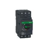 Schneider Electric Schneıder GV3P65 Tesys Gv3 Motor Devre Kesici Termik Manyetik Röle 48-65 Amper