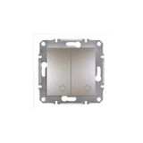 Schneider EPH0600169 İkili Asfora Bronz Çerçevesiz Vavien