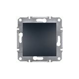 Schneider EPH5600171 Asfora Plus Antrasit Çerçevesiz Kör Kapak
