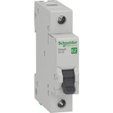 Schneider EZ9F14106 1x6 Amper 1 Fazlı B Tipi Otomatik Sigorta