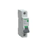 Schneider EZ9F27116 Easy9 Pro 1P 16 A B Eğrisi Otomatik Sigorta