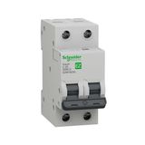 Schneider EZ9F56250 EASY9 2P 50 6Ka C Tipi Otomatik Sigorta