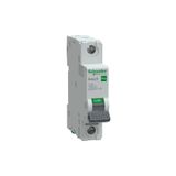 Schneider EZ9F57116 Easy9 Pro 1P 16A C Eğrisi Otomatik Sigorta