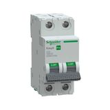 Schneider EZ9F57220 Easy9 Pro 2P 20 A C Eğrisi Otomatik Sigorta