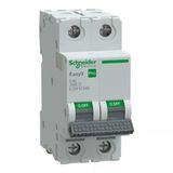 Schneider EZ9F57240 Easy9 Pro 2P 40 A C Eğrisi Otomatik Sigorta