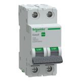 Schneider EZ9F59263 Easy9 Pro 2P 63 A C Eğrisi Otomatik Sigorta