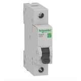 Schneider Monofaze Otomatik Sigorta 1P C 40A 6Ka Ez9f56140