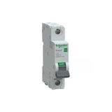 Schneider Otomatik Sigorta, Easy9 Pro, 6kA, C-Eğrisi, 1-Kutup, 16A