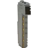 Schneider TM5SPS2F Güç Kaynağı, E/A-Modül için 24 V DC Bus, 6,3A Dahili Sigorta