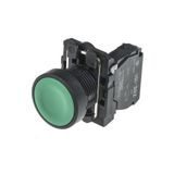 Schneider XB5-AA31 1NA Yeşil Yaylı Buton