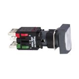 Schneider XB6-DW1B1B Kırmızı Dikdörtgen Işıklı Buton
