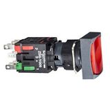 Schneider XB6-DW4B2B Kırmızı Dikdörtgen Işıklı Buton