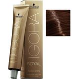 Schwarzkopf Igora 3 Adet Royal Absolutes 6-60 Koyu Kumral Çikolata Doğal Saç Boyası