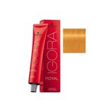 Schwarzkopf Igora Royal 0-55 Altın Yoğunlaştırıcı Süper 60 ml Saç Boyası