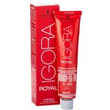Schwarzkopf Igora Royal 4-68 Kahve-Çikolata Kızıl