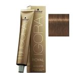 Schwarzkopf Igora Royal Absolutes 60 ml 7-60 Kumral Çikolata Doğal Saç Boyası
