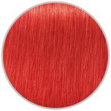 Schwarzkopf Igora Royal Konsantre Renk 60 ml 0.88 Kırmızı Yoğunlaştırcı Saç Boyası