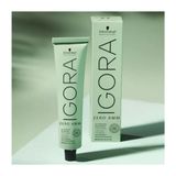 Schwarzkopf Igora Zero Amm Amonyaksız 60 ml 6-31 Dark Blonde Matte Cendre Saç Boyası
