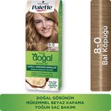 Schwarzkopf Palette Amonyaksız Saç Boyası 8-0 Nötr Bal Köpüğü – Argan ve Shea Yağı ile Yoğun Besleyici Formül