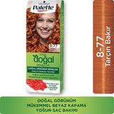 Schwarzkopf Palette Kalıcı Doğal Tarçın Bakır Saç Boyası – Amonyaksız, Argan Yağı ve Goji Berry ile Besleyici Formül