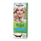 Schwarzkopf Palette Natural 12.1 Küllü Buzul Sarısı 2x50 ml Saç Boyası + Boyama Seti