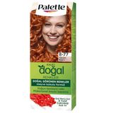 Schwarzkopf Vital Colors No:8.77 Tarçın Bakır Tüp Saç Boyası